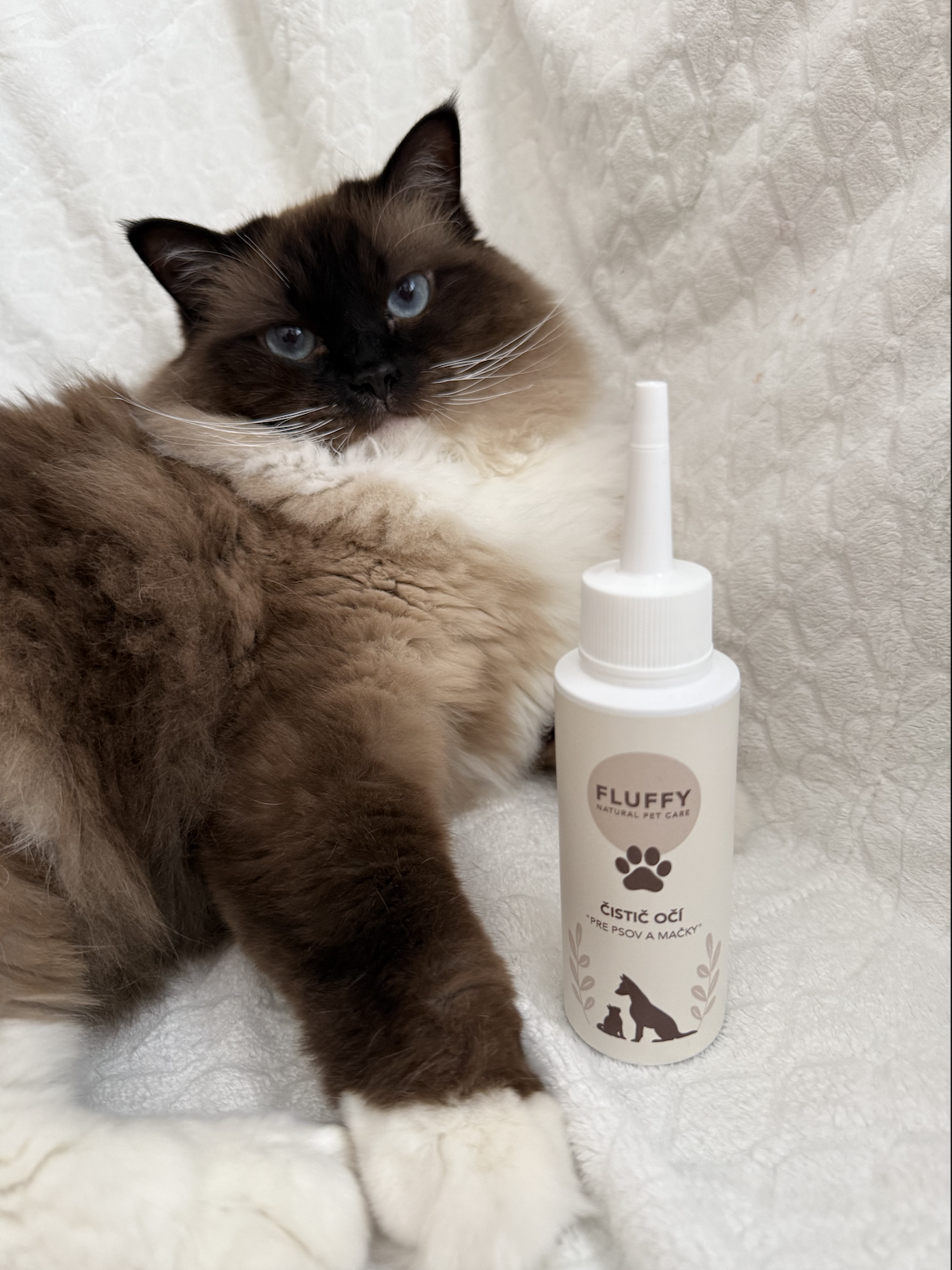 Čistič očí Fluffy – spokojná mačka